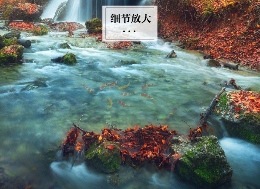 注重外貌