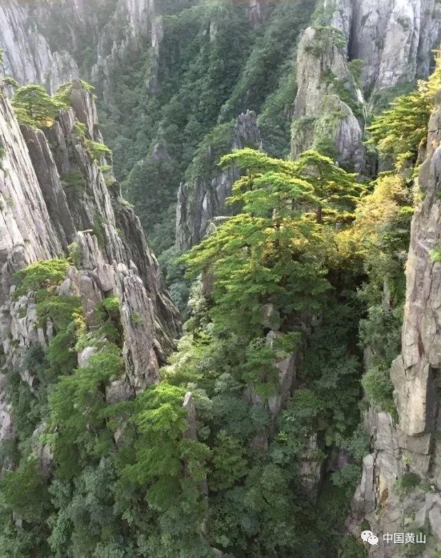 城市帝国